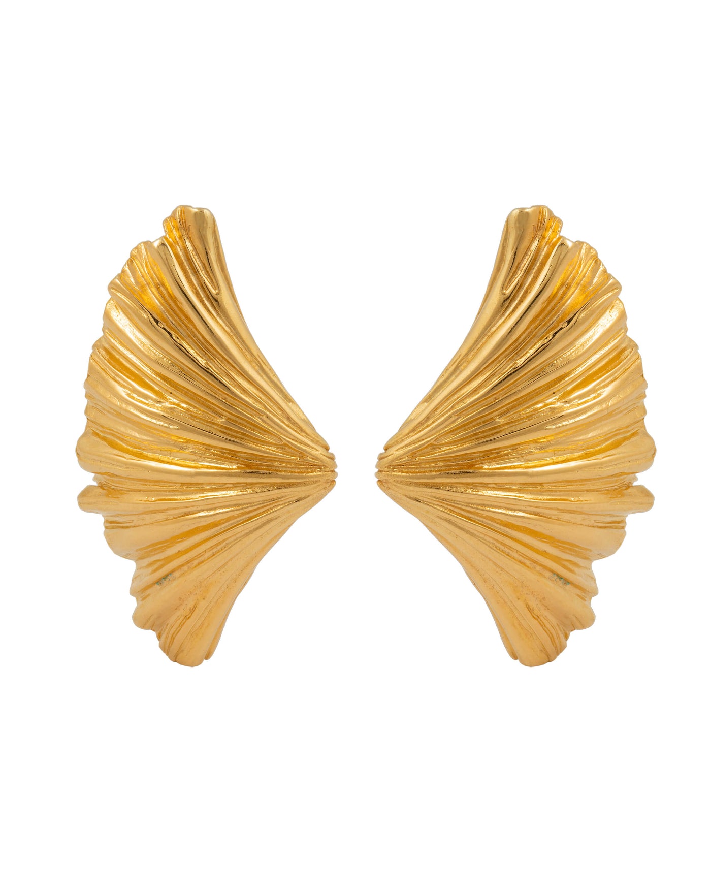 Solid gold Large Shell Earrings