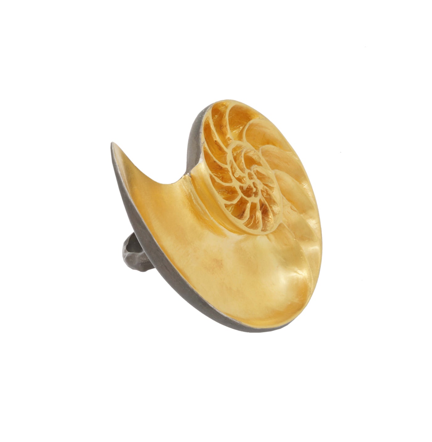 Nautilus Shell ring. Silver, gold-plated